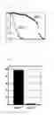 Fig. 02 - COMBINATION OF GERANYLGERANYLACETONE AND IBUDILAST AND METHODS OF USING SAME