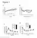 Fig. 02 - Method of treating obesity