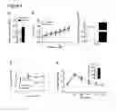 Fig. 06 - Method of treating obesity