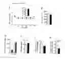 Fig. 07 - Method of treating obesity