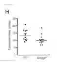 Fig. 07 - Methods of treating atherosclerosis or myeloproliferative neoplasms by administering a lyn kinase activator