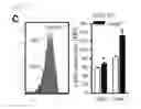 Fig. 09 - Methods of treating atherosclerosis or myeloproliferative neoplasms by administering a lyn kinase activator
