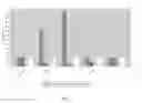 Fig. 02 - Compositions and methods for treating bone diseases and broken bones