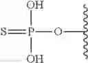 Fig. 05 - Substituted nucleosides, nucleotides and analogs thereof