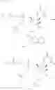 Fig. 412 - Substituted nucleosides, nucleotides and analogs thereof