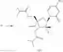 Fig. 424 - Substituted nucleosides, nucleotides and analogs thereof