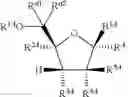 Fig. 63 - Substituted nucleosides, nucleotides and analogs thereof
