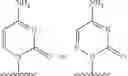 Fig. 84 - Substituted nucleosides, nucleotides and analogs thereof