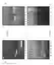 Fig. 02 - Methods and compositions for the disruption of biofilms