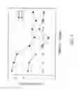 Fig. 08 - Natural killer cells from placenta