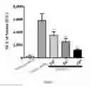 Fig. 02 - APPLICATION AND PHARMACEUTICAL COMPOSITION OF PREACTIVATED AND DISAGGREGATED SHAPE-CHANGED PLATELETS