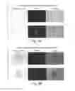 Fig. 06 - Method of constructing masses of myocardial cells and use of the myocardial cell mass