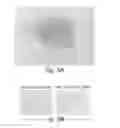 Fig. 07 - Method of constructing masses of myocardial cells and use of the myocardial cell mass