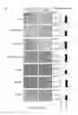 Fig. 07 - Serpins: methods of therapeutic β-cell regeneration and function