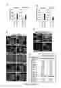 Fig. 09 - Serpins: methods of therapeutic β-cell regeneration and function