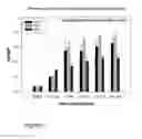 Fig. 02 - GENE TRANSFER FOR REGULATING SMOOTH MUSCLE TONE