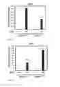 Fig. 16 - INTERFERON TREATMENT TARGETING MUTANT P53 EXPRESSING CELLS