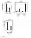 Fig. 17 - INTERFERON TREATMENT TARGETING MUTANT P53 EXPRESSING CELLS