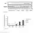 Fig. 19 - INTERFERON TREATMENT TARGETING MUTANT P53 EXPRESSING CELLS