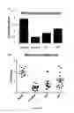 Fig. 09 - Compositions and methods for inhibiting the activity of LAR family phosphatases
