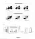 Fig. 06 - COMPOSITIONS AND METHODS FOR PREVENTION OF ESCAPE MUTATION IN THE TREATMENT OF HER2/NEU OVER-EXPRESSING TUMORS