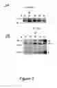 Fig. 03 - Treatment and prevention of malaria