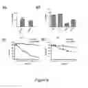 Fig. 09 - Treatment and prevention of malaria