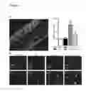Fig. 08 - METHODS FOR ENHANCING AN IMMUNE RESPONSE TO AN ANTIGEN