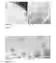 Fig. 08 - Pharmaceutical lipid compositions