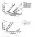 Fig. 02 - Protein-polymer-drug conjugates and methods of using same