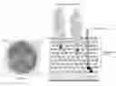 Fig. 01 - Anti-wall teichoic antibodies and conjugates