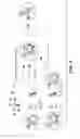 Fig. 06 - Anti-wall teichoic antibodies and conjugates