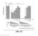 Fig. 10 - Anti-wall teichoic antibodies and conjugates