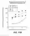 Fig. 16 - Anti-wall teichoic antibodies and conjugates