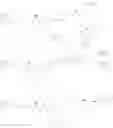 Fig. 94 - Anti-wall teichoic antibodies and conjugates