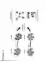 Fig. 05 - Antigen-Specific T cell redirectors