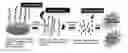 Fig. 01 - Multimeric antimicrobial peptide complex which is displayed on cell surface