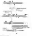 Fig. 03 - Multimeric antimicrobial peptide complex which is displayed on cell surface