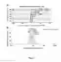 Fig. 11 - Mesoporous oxide nanoparticles and methods of making and using same