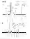 Fig. 03 - BIOSPECIFIC AGENTS FOR BONE