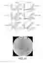 Fig. 46 - Magnetic microstructures for magnetic resonance imaging