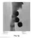 Fig. 47 - Magnetic microstructures for magnetic resonance imaging