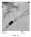 Fig. 48 - Magnetic microstructures for magnetic resonance imaging