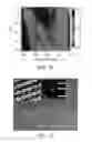 Fig. 14 - Magnetic microstructures for magnetic resonance imaging