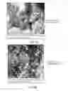 Fig. 06 - Amphiphilic linear peptide/peptoid and hydrogel comprising the same