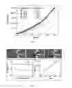 Fig. 06 - Elastic macro porous scaffold and a process for the preparation thereof