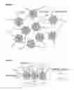 Fig. 06 - Immobilised biological entities
