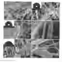Fig. 01 - METHOD FOR MANUFACTURING NANO-HYDROXYAPATITE/POLY(LACTIC ACID) HYBRID NANO-COMPOSITE MEMBRANE MAT, NANO-HYDROXYAPATITE/POLY(LACTIC ACID) HYBRID NANO-COMPOSITE MEMBRANE MAT MANUFACTURED THEREBY, AND AIR-JET SPINNING APPARATUS THEREFOR