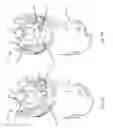 Fig. 06 - Portable Drug Mixing and Delivery Device and Associated Methods