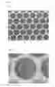 Fig. 05 - Nebulizer mesh and production method thereof